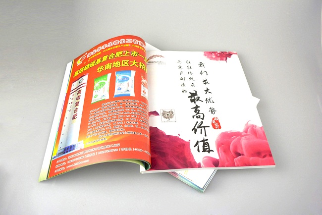 食品招商加盟宣傳畫冊